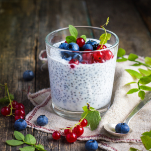 plant based ingredients supplier gum systems