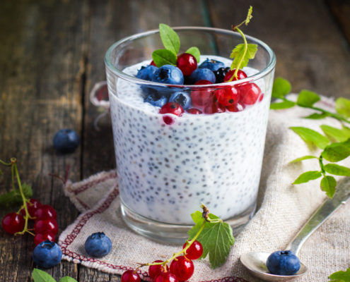 plant based ingredients supplier gum systems